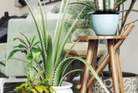 Inspiring Indoor Plans Garden Ideas To Makes Your Home More Cozier 01