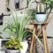 Inspiring Indoor Plans Garden Ideas To Makes Your Home More Cozier 01