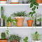 Inspiring Indoor Plans Garden Ideas To Makes Your Home More Cozier 02
