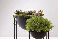 Inspiring Indoor Plans Garden Ideas To Makes Your Home More Cozier 06