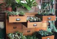 Inspiring Indoor Plans Garden Ideas To Makes Your Home More Cozier 08
