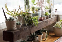 Inspiring Indoor Plans Garden Ideas To Makes Your Home More Cozier 14