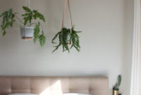 Inspiring Indoor Plans Garden Ideas To Makes Your Home More Cozier 15
