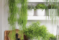 Inspiring Indoor Plans Garden Ideas To Makes Your Home More Cozier 24