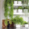 Inspiring Indoor Plans Garden Ideas To Makes Your Home More Cozier 24