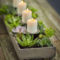 Inspiring Indoor Plans Garden Ideas To Makes Your Home More Cozier 25