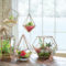 Inspiring Indoor Plans Garden Ideas To Makes Your Home More Cozier 28