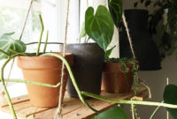 Inspiring Indoor Plans Garden Ideas To Makes Your Home More Cozier 29