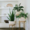 Inspiring Indoor Plans Garden Ideas To Makes Your Home More Cozier 30
