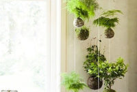 Inspiring Indoor Plans Garden Ideas To Makes Your Home More Cozier 34