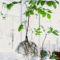 Inspiring Indoor Plans Garden Ideas To Makes Your Home More Cozier 37