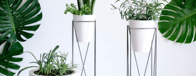 Inspiring Indoor Plans Garden Ideas To Makes Your Home More Cozier 40