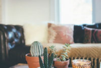 Inspiring Indoor Plans Garden Ideas To Makes Your Home More Cozier 48