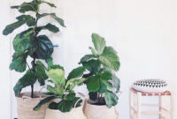 Inspiring Indoor Plans Garden Ideas To Makes Your Home More Cozier 50