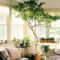 Inspiring Indoor Plans Garden Ideas To Makes Your Home More Cozier 52