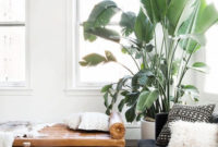Inspiring Indoor Plans Garden Ideas To Makes Your Home More Cozier 55
