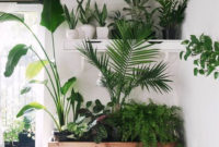 Inspiring Indoor Plans Garden Ideas To Makes Your Home More Cozier 56