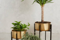 Inspiring Indoor Plans Garden Ideas To Makes Your Home More Cozier 62