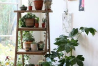 Inspiring Indoor Plans Garden Ideas To Makes Your Home More Cozier 63