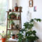 Inspiring Indoor Plans Garden Ideas To Makes Your Home More Cozier 63