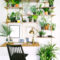Inspiring Indoor Plans Garden Ideas To Makes Your Home More Cozier 64