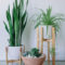 Inspiring Indoor Plans Garden Ideas To Makes Your Home More Cozier 66