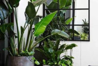 Inspiring Indoor Plans Garden Ideas To Makes Your Home More Cozier 70