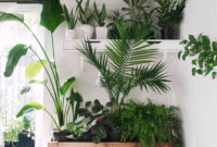 Inspiring Indoor Plans Garden Ideas To Makes Your Home More Cozier 71