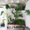 Inspiring Indoor Plans Garden Ideas To Makes Your Home More Cozier 71