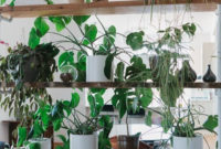 Inspiring Indoor Plans Garden Ideas To Makes Your Home More Cozier 76