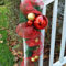 Totally Inspiring Christmas Porch Decoration Ideas 31