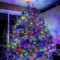 Cute And Colorful Christmas Tree Decoration Ideas To Freshen Up Your Home 19