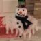 Cute And Cool Snowman Christmas Decoration Ideas 34