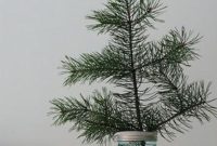 Inspiring Home Decoration Ideas With Small Christmas Tree 11