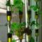Cool Indoor Vertical Garden Design Ideas 11