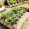 Incredible Small Backyard Garden Ideas 45