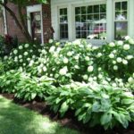 Totally Beautiful Front Yard Landscaping Ideas On A Budget 04
