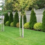 Totally Beautiful Front Yard Landscaping Ideas On A Budget 06