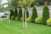 Totally Beautiful Front Yard Landscaping Ideas On A Budget 06