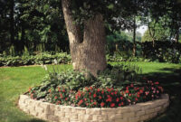 10 Best Retaining Wall Around Trees Images On Pinterest
