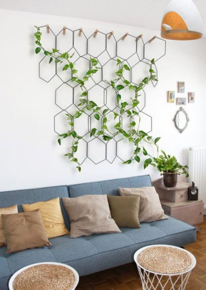 10 Ideas To Fill The Space Above Your Couch Plant Decor
