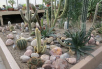 10 Perfect Cactus Garden Design Ideas For Your Garden