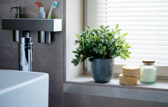 10 Tips To Green Clean Your Bathroom Realestateau