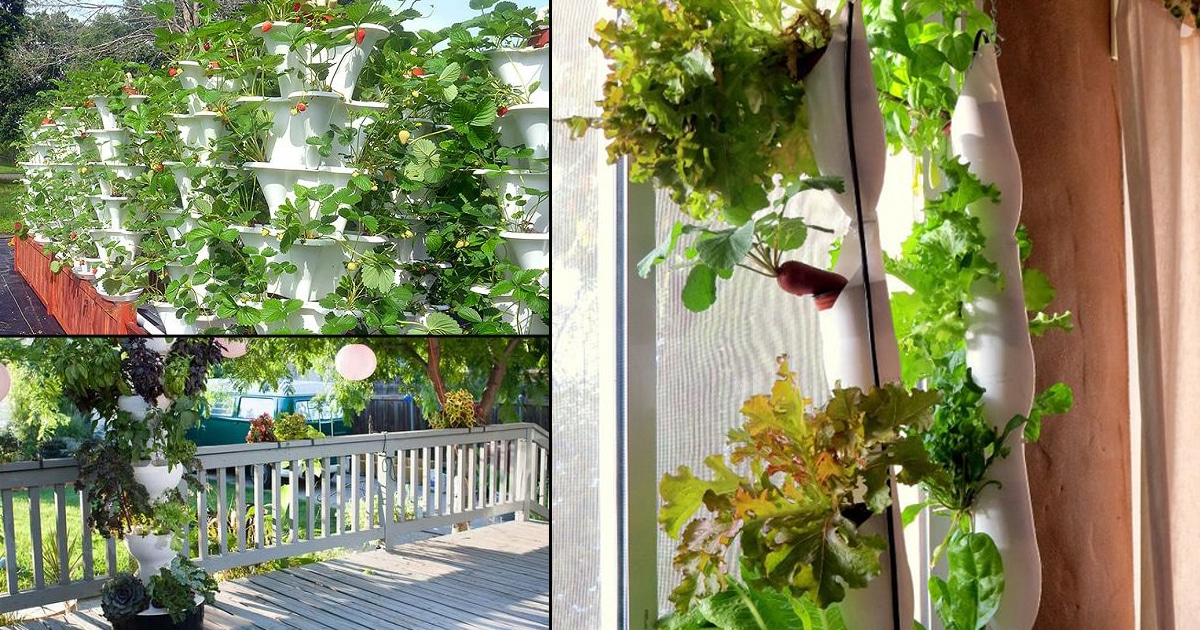 14 Diy Hydroponic Vertical Garden Ideas To Grow Food