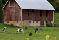 141 Amazing Old Bams And Farms Photos Country Barns Old