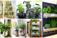 15 Amazing Ideas For Indoor Herb Garden Ideas To Love