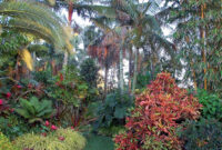 15 Beautiful Tropical Front Yard Landscape Ideas To Make