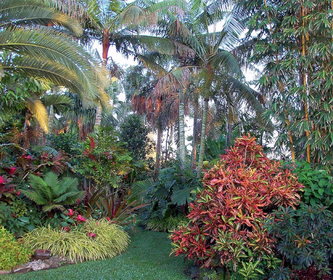 15 Beautiful Tropical Front Yard Landscape Ideas To Make