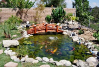 15 Inspirative Garden Pond With Bridge That You Would Like