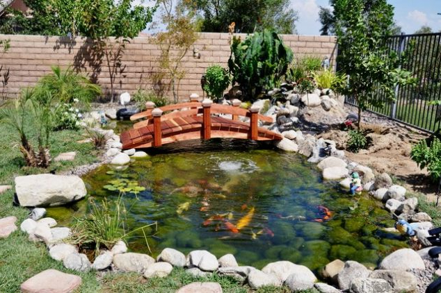 15 Inspirative Garden Pond With Bridge That You Would Like